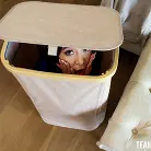 Amber Summer in '“I'm the Bully Now!” Tiny Stepdaughter Flip Fucked'