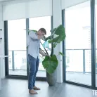 Dixie Lynn in 'No Nut November Win'