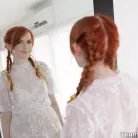 Krystal Orchid in 'Bracefaced Ginger Bush'