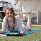 Krystal Orchid in 'Bracefaced Ginger Bush'