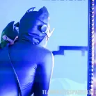 Lauren Phillips in 'Batgirl-on-Catgirl Action'