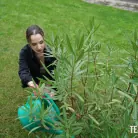 Mona Blue in 'The Tiny Gardener'