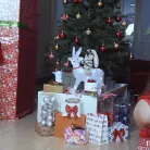 Reislin in 'Christmas Presents'