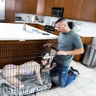 Venus Vixen in '“Please, I'll do Anal-Thing!” Venus Makes a Deal'