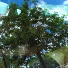 Vienna Black in 'Parking'