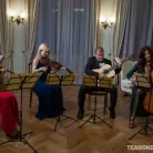 Alexis Brill in 'Fifth Movement: The Quartet'