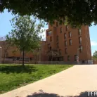 Arteya in 'Anything For Some Euros'