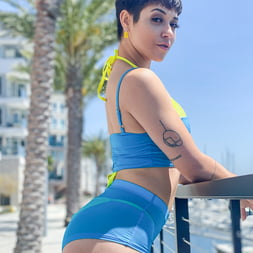 A Flaunt and Fuck