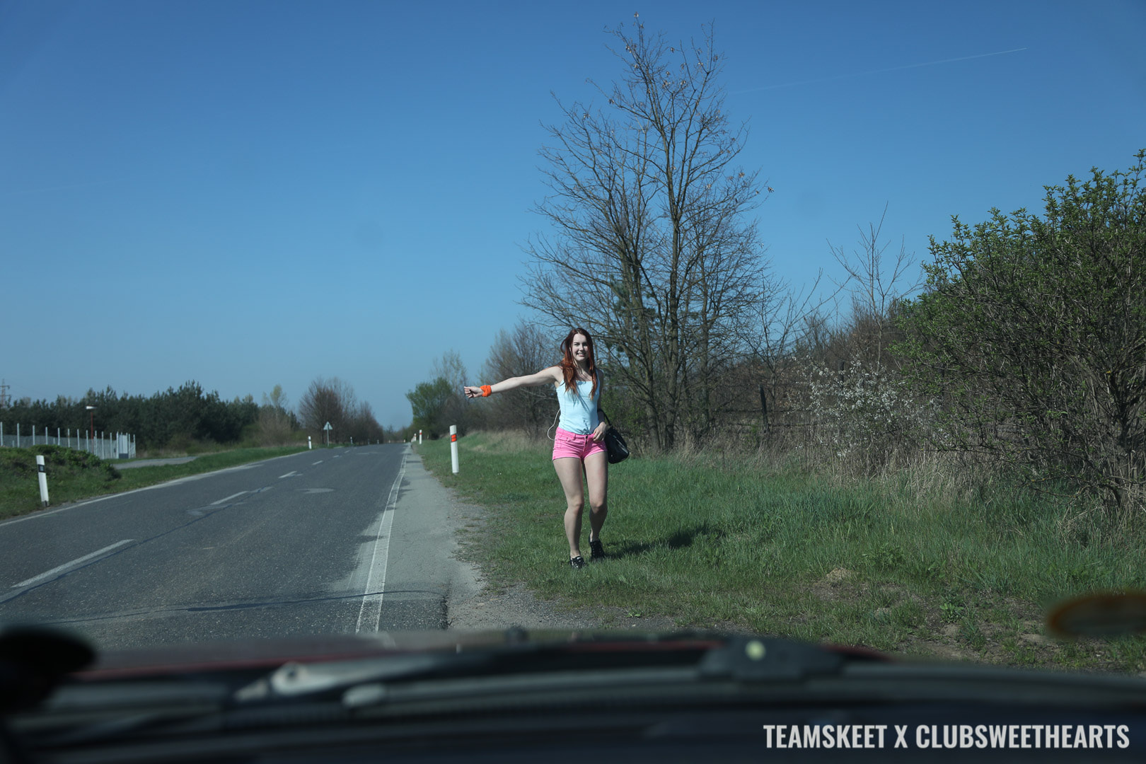 The Hitchhiker
