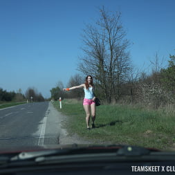 The Hitchhiker