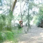 Hazel Grace in 'Banging a Cutie In the Woods'