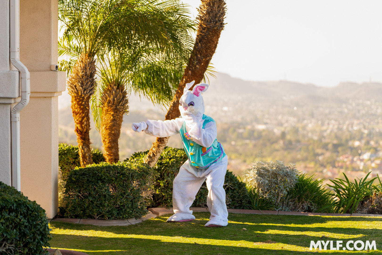 Easter Humping
