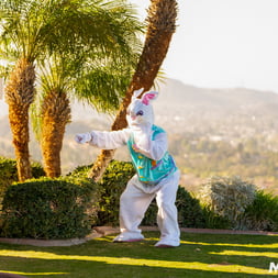 Easter Humping