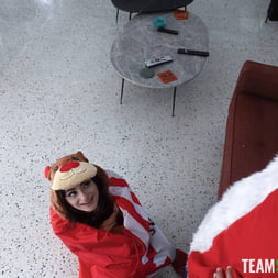 The Tiniest Reindeer