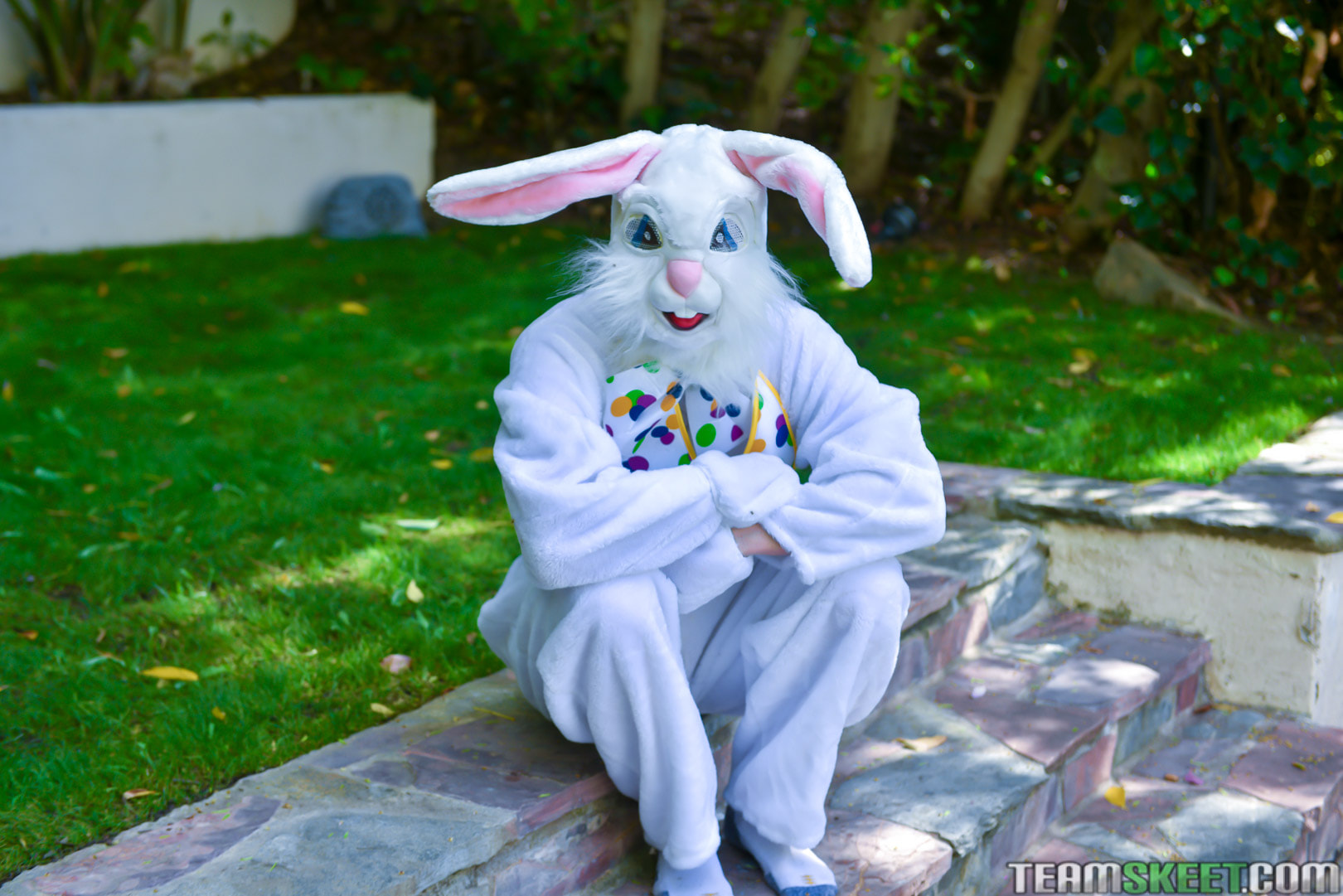 Mini Easter Bunny Babe Gets Slammed
