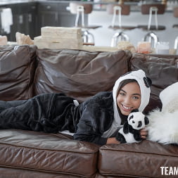 Puppet Pal Panda