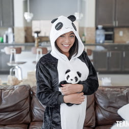 Puppet Pal Panda